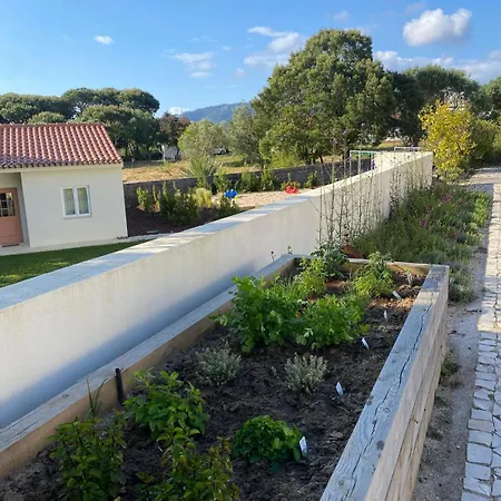 So Magoito シントラ