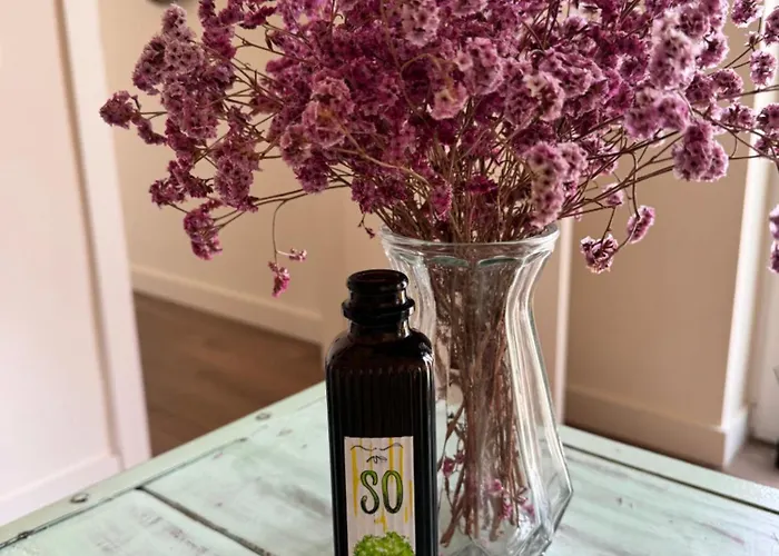 So Magoito سينترا