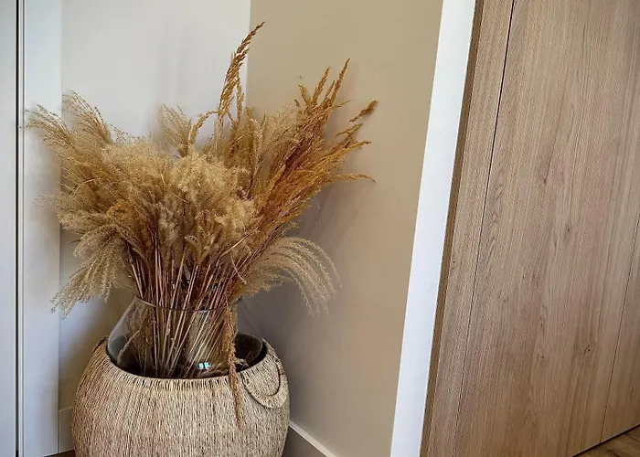 فندق مبيت وإفطار So Magoito