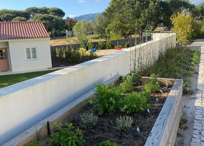 So Magoito سينترا